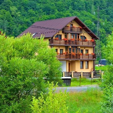 Casa Vadeanu Otel Sighetu Marmaţiei Dış mekan fotoğraf