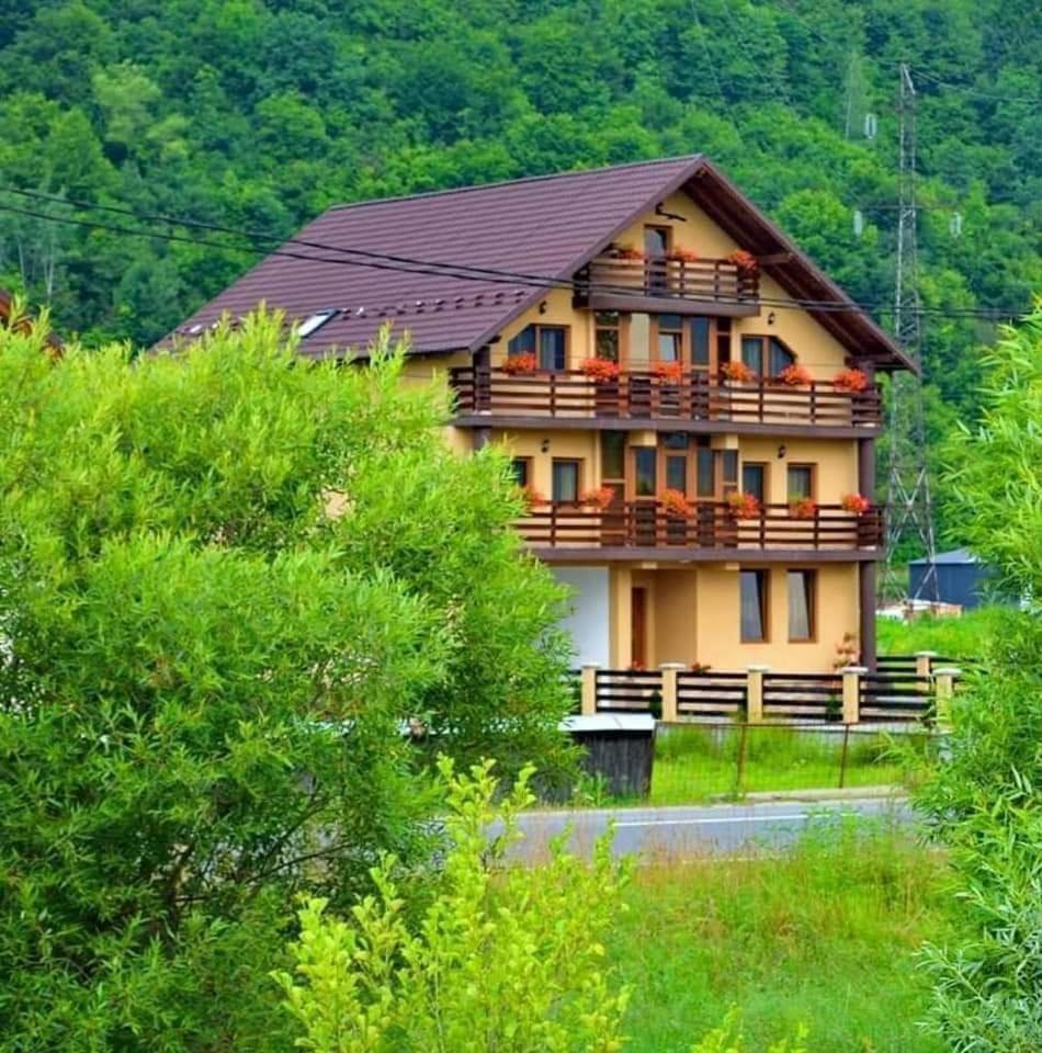 Casa Vadeanu Otel Sighetu Marmaţiei Dış mekan fotoğraf