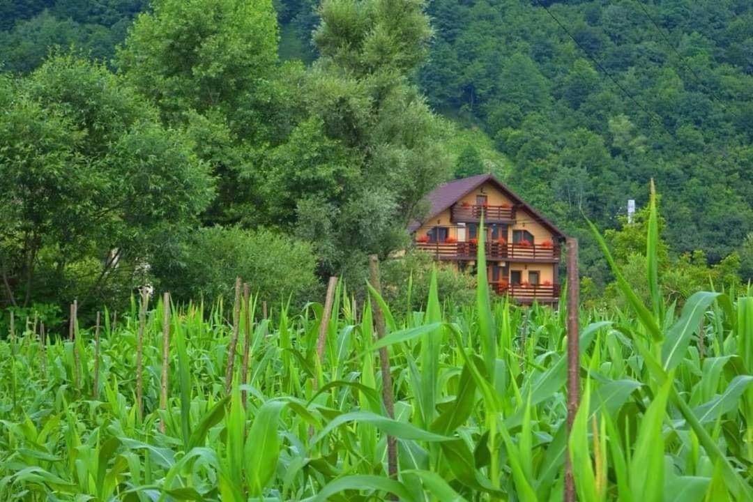 Casa Vadeanu Otel Sighetu Marmaţiei Dış mekan fotoğraf