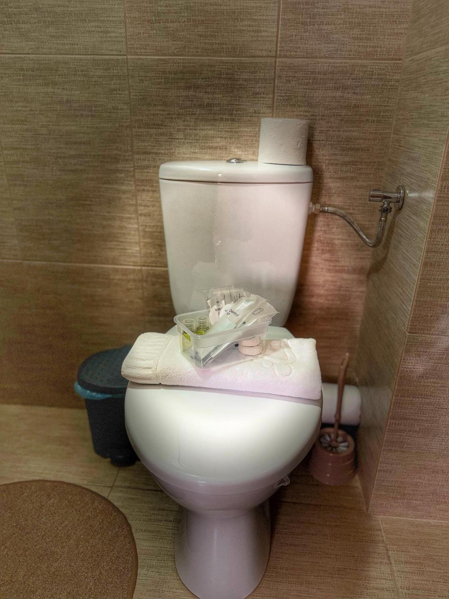 Casa Vadeanu Otel Sighetu Marmaţiei Dış mekan fotoğraf